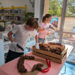 WhatsApp_Image_2025-12-14_a_20